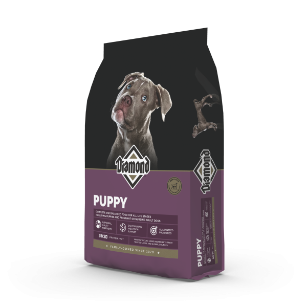 Toppa Ricamata Diamond Dogs - Patch Termoadesiva 9x6 Cm Per Abbigliamento E Accessori, Ferro O Cucito